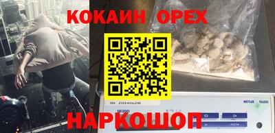 гашик Тверь