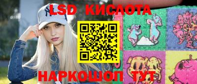 гашик Тверь