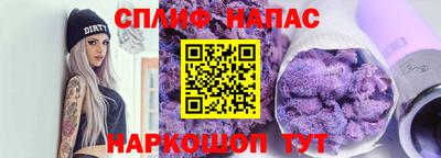 гашик Тверь